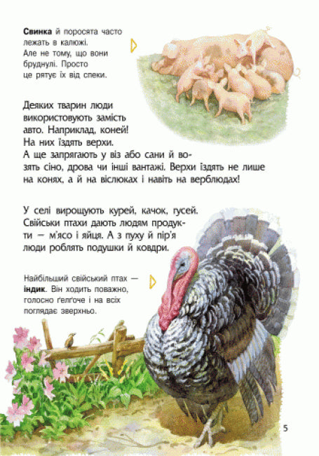 Енциклопедія дошкільника. Тварини